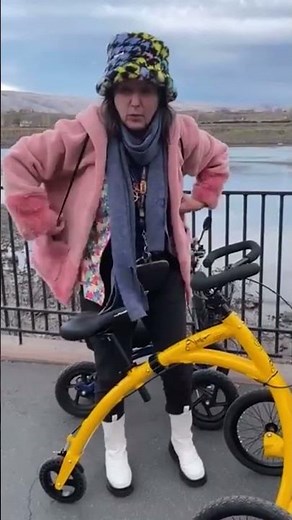 The Alinker: Mobility Solution for All