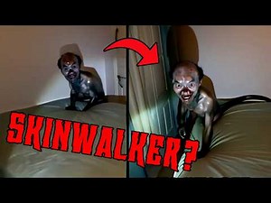 Skinwalkers Caught Pretending To Be Animals Part 3