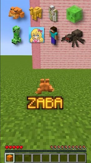 SVAKI MOB VS VISINA U MINECRAFTU!