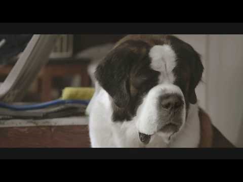 Beethoven's Christmas Adventure - Trailer - Own it on DVD