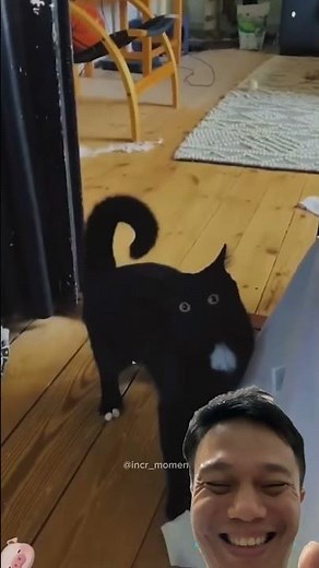 🐶 Dogs React to Human Farts 💨 | Funniest Animal Videos Ever! 😂