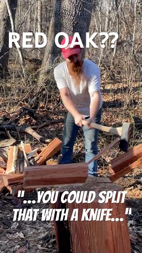 yes red oak is easy to split, usually #shorts #firewood