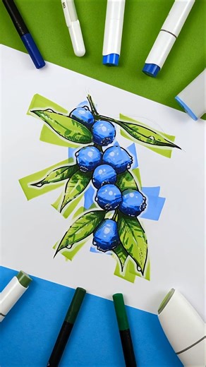 Blueberries sketch