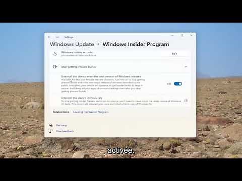 Leave Windows 11 Insider or Release Preview Program and stay on Windows