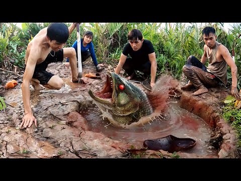 Brave Hunters Catch The Giant Python And Carnivorous Fish By Hand