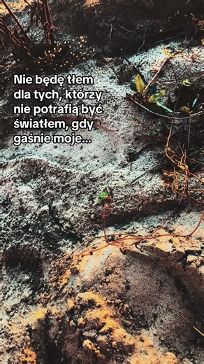 Filmy użytkownika Oliwka🖤 (@oli66661) z muzyką Reflection - Blue Cafe