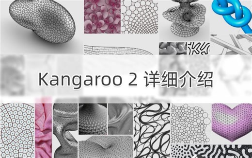 Kangaroo 2 详细介绍