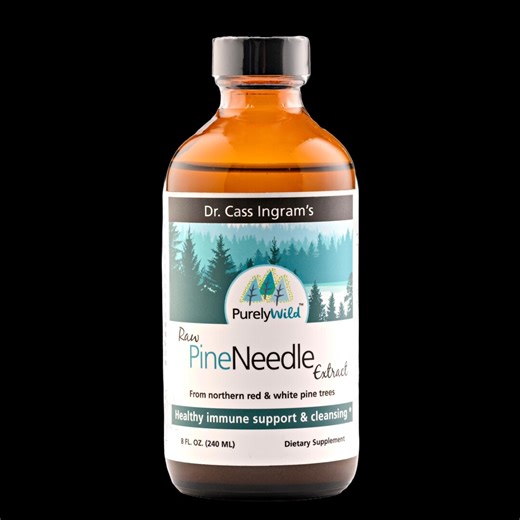 Dr. Cass Ingram's Pine Needle Extract – 8 Oz | Purely Wild Naturally Sourced, Plant-based Supplement - Etsy