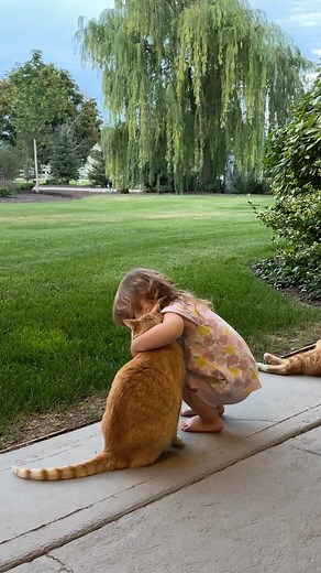 🥹 | Garden Answer