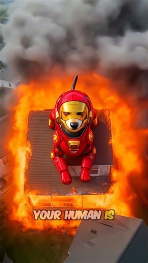 What If Your Dog Was An Iron Man SuperHero?