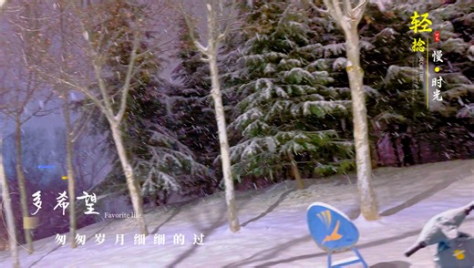 『请你们看场河南的雪』