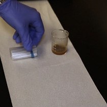 Video: A Computational Method to Quantify Fly Circadian Activity