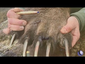 Barnes Bullets All-Copper X Bullet Turns 30| Guns & Gear S10