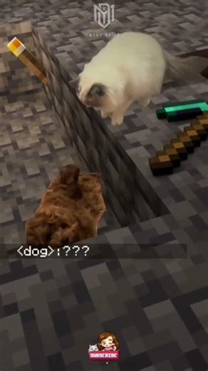 cat Minecraft 👾 #cat #funnycat #cats #funnyvideo #fyp #shorts #cute #cutecat #pet #minecraft