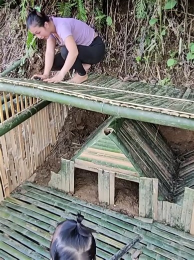 Build a rabbit cage and fence around it with bamboo, buy breeding rabbits to raise