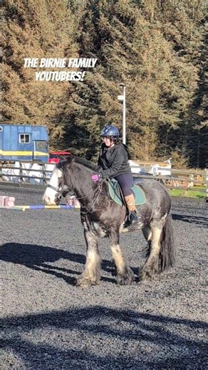 Horse CANTERING LESSONS With Emily And Smithy! - BFF Horse Riding Shorts #317