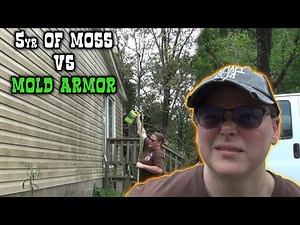 Mold Armor - does it work? How about vs 5 years of moss build up?