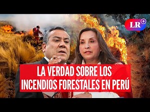 INCENDIOS FORESTALES arrasan bosques y tierras agrícolas en PERÚ: ¿Qué responde DINA y ADRIANZÉN?