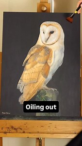 Annie Drew Wildlife Art on Instagram: "Oiling out! I use a 50/50 mix of Gamsol and Galkyd (by @gamblincolors , check out their website for a more detailed tutorial). I apply it liberally, leave to absorb for a few mins then wipe away. Only to be applied once the painting is completely DRY. Otherwise you’ll smudge all your hard work ✌️ #oilpainting #oilpaintingtechniques #oilingout #oilingoutapainting #arttechniques #barnowl #owlart"