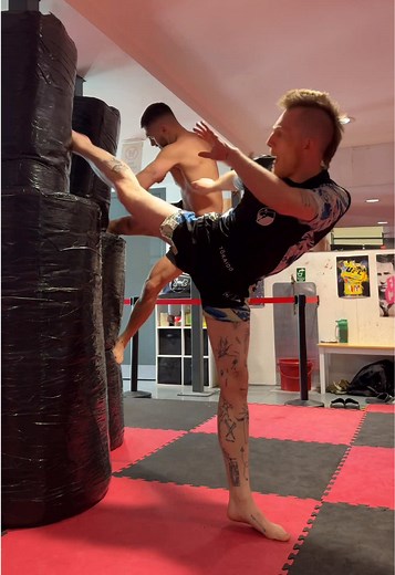 Karate Basics and Finishing Moves | MMA & Kickboxing Training