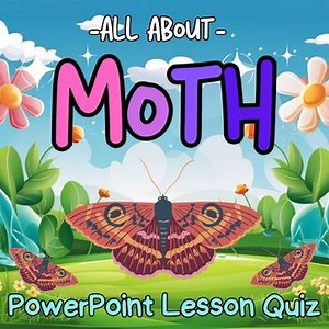 All About Moth, Moth Life Cycle PowerPoint Lesson Quiz for 1st 2nd 3rd 4th