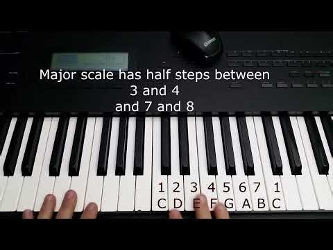 Music Theory Fundamentals Pt 5： What is a Major Scale