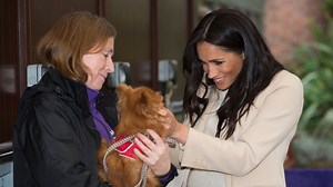 Pregnant Meghan called 'fat lady'