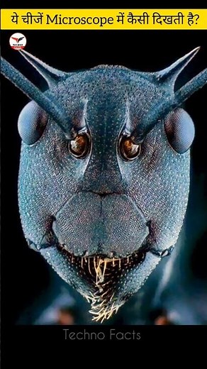 This Objects Under The Microscope #facts #amazingfacts #microscope #sciencefacts #knowledge #shorts