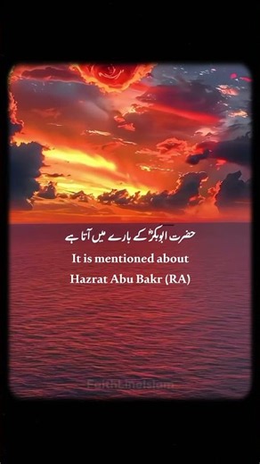 Abu Bakr (RA) Feared the Day of Judgment #shorts #islam #drisrarahmed #fyp