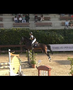 Epic Equestrian Fails: Hilarious Horse Adventures