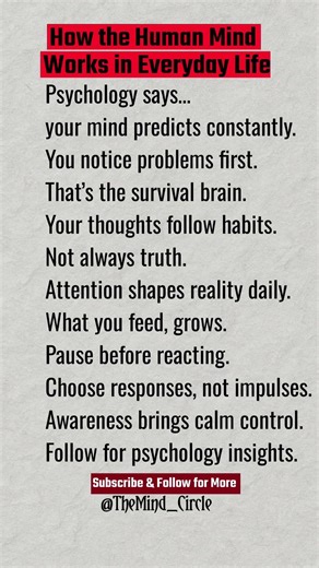 How the Human Mind Works in Everyday Life