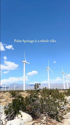 Palm Springs is a whole vibe