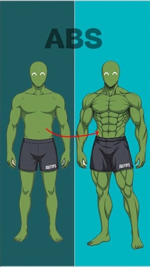 Abs Anatomy Explained 🔥 | Six Pack Muscles 3D Animation 💪 #shorts