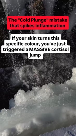 Health | Longevity | Mindset on Instagram: "HORSE STANCE RESET Most people jump into a 40°F tub thinking they’re hacking their recovery, but they’re actually triggering a massive cortisol cascade that shuts down fat loss and spikes internal stress. If your skin turns a deep, mottled purple instead of a healthy "vasodilation pink," you’ve just sent your body into a state of survival-mode shunting. Instead of reducing inflammation, your system is now fighting a self-induced trauma response. High-l