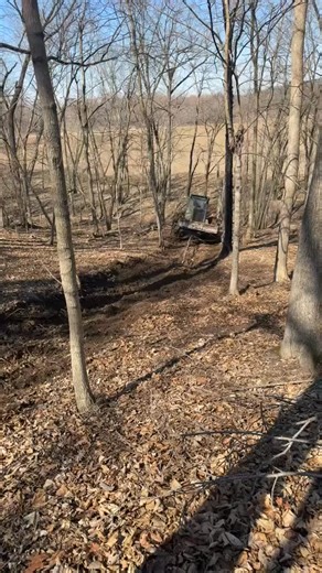 4.1K views · 93 reactions | 5.9 Cummins. 460 timberjack. Was a muddy job had to use chains for a while. #loggerlife | Peake Warren | Facebook