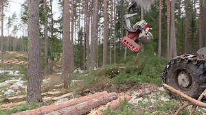 13K views · 172 reactions | Eco Log 580D Blue equipped with a Log Max 6000B working in Sweden | Log Max | Facebook