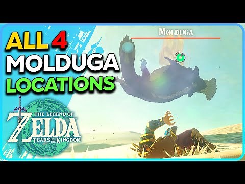 All 4 Molduga Locations Zelda Tears of the Kingdom