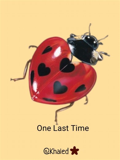 One Last Time Lyrics by Khaled