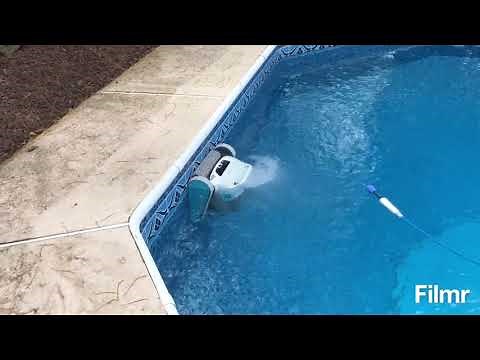 Dolphin Active 30 first impressions