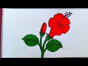 How to Draw a Hibiscus Flower 🌺 | Easy Step-by-Step Drawing for Beginners