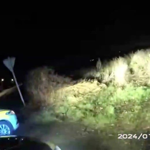 Police Dog Bobby strikes again 🐾 Here’s the moment PD Bobby and his handler helped arrest two men after a pursuit last night. We tried to stop a suspected cloned vehicle in connection with a recent house burglary. But the driver failed to pull over. So we followed him with several cars and also called in a police helicopter. The vehicle came to a stop in a country lane near Brayton, Selby. The two occupants ran across a crop field so we gave chase on foot. In fact, it was on paws as well – as y