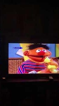 Sesame Street 25 wonderful years A musical celebration DVD Preview