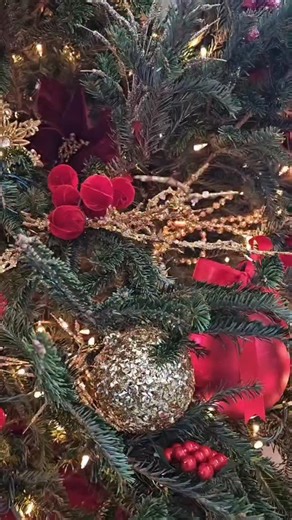 A little sneak peek at the WBRC Christmas tree to get you in the holiday spirit! See the full reveal on WBRC 6 News tonight! 🎄⭐️ | WBRC 6 News