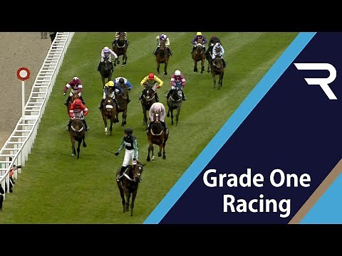 ALTIOR is dominant as he wins a classic Supreme Novices' Hurdle at the 2016 Cheltenham Festival