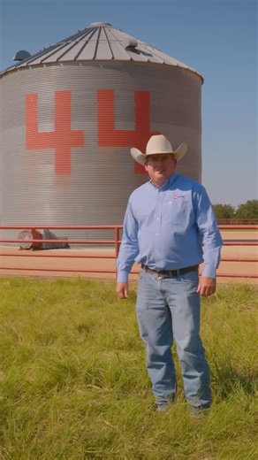 Our Fall Bull Sale is right around the corner. Check out the sale book online or give us a call! 🔗 44Farms.com 📞 (254) 697-4401 #44Farms #FallBullSale #Angus #TexasRanching #PrimePursuits #McClarenFarms #44strong #angusstrong #RegisteredAngus #GreaterThings | 44 Farms