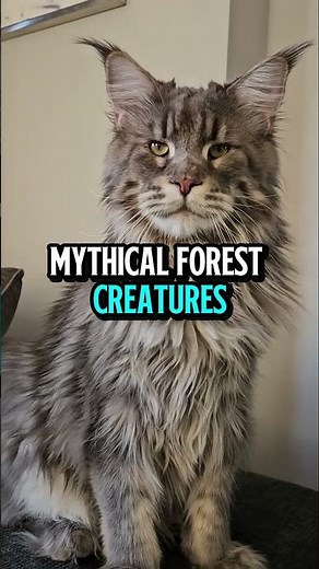 The BIGGEST Cat Breed in the World! 🦁🐾