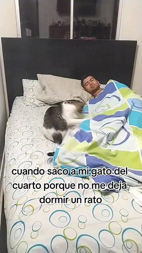 19M views · 215K reactions | Otro TBT y agradecido con todos uds por todo el apoyo que me dieron el año pasado y espero poder seguir sacandoles una sonrisa este nuevo año  ¿quien más tiene gato que le forma pataIeta por que lo sacan del cuarto? #gatosdivertidos #lovecats #ilovemycat #cat #cats #papagatuno #viral #gatos #catlover #gatoslindos | Jefferson Gonzalez | Facebook