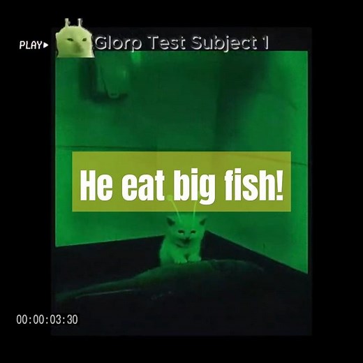 Glorp Alien Cat Tastes A Big Fish And Cries #alien #cat #glorp #memesdaily #ufoキャッチャー #ufo