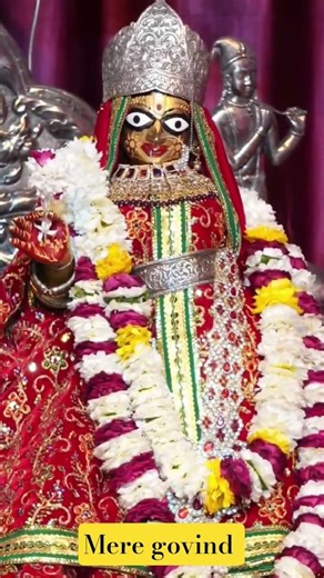 गोपीनाथजी आज के धूप झांकी दर्शन#gopinath#jaipur#premanandjipravachan#radha#krishna#indreshupadhyayji