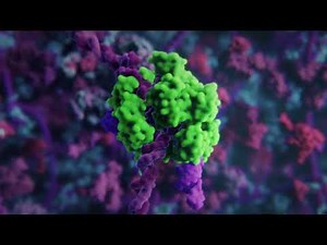 How do CRISPR gene-editing systems work?